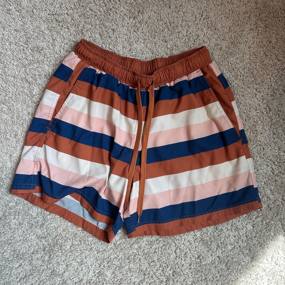 Men’s Striped Multicolor Swim Shorts
